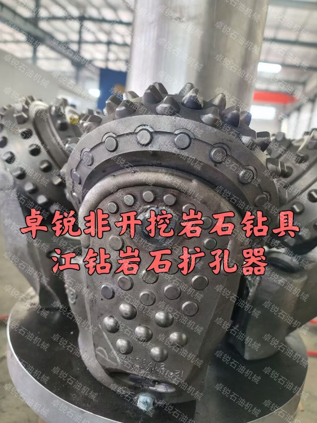 1732172869570540.jpg 1732172869570540.jpg